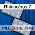 Rhinocéros 7 17